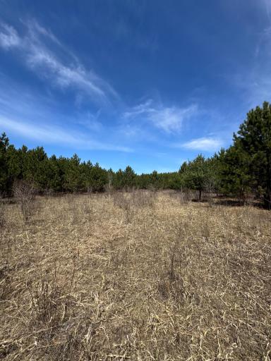 Lot 3 Scenic Highway 7, Bovey, MN 55709