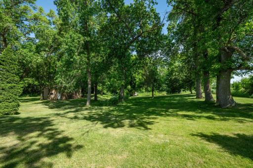 Private back yard backing right up to the protected St. Michael Wildlife Management Area