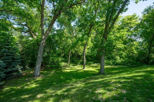 9884 35th Street NE, Saint Michael, MN 55376