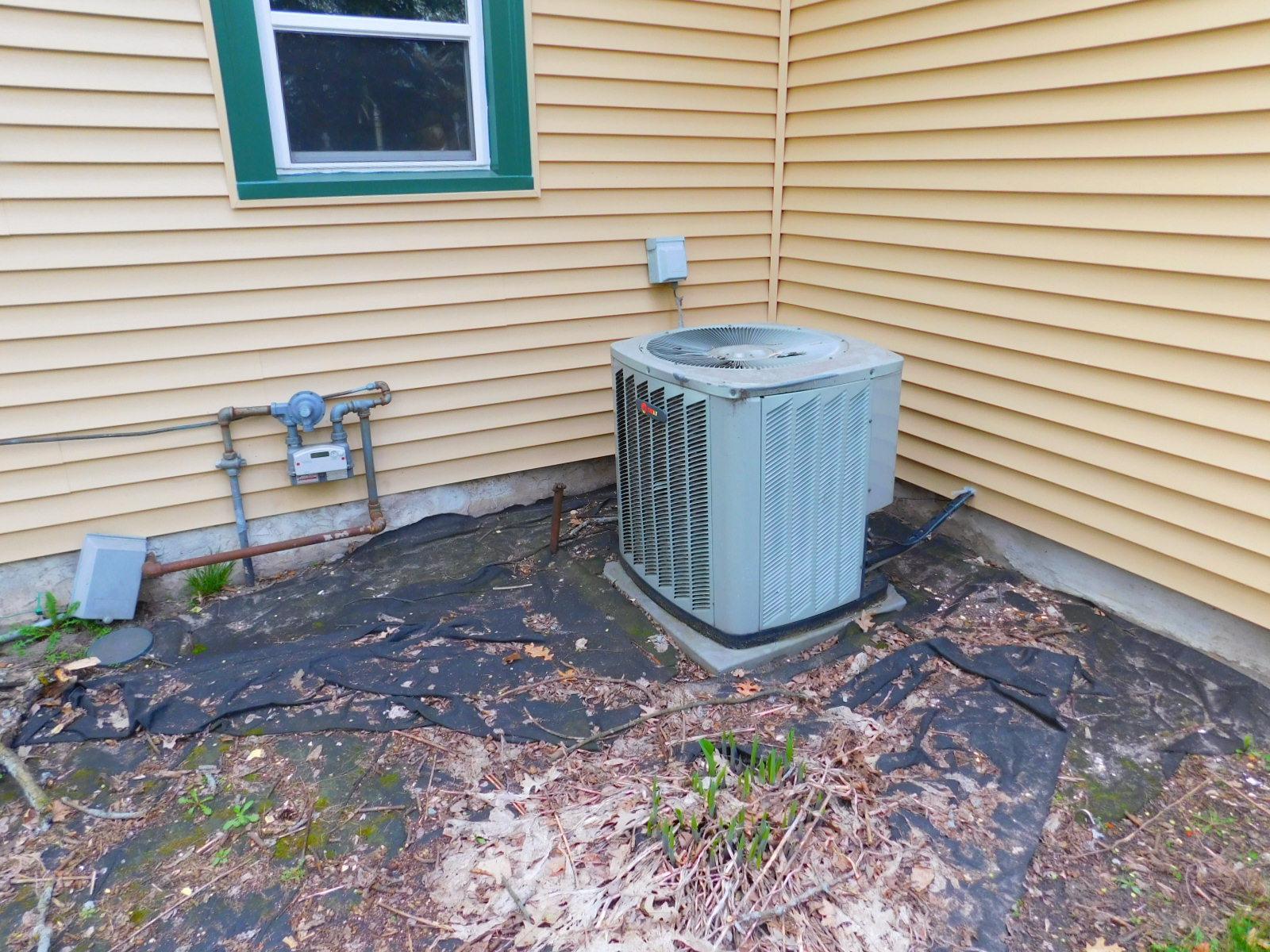 DSCN4538.JPG