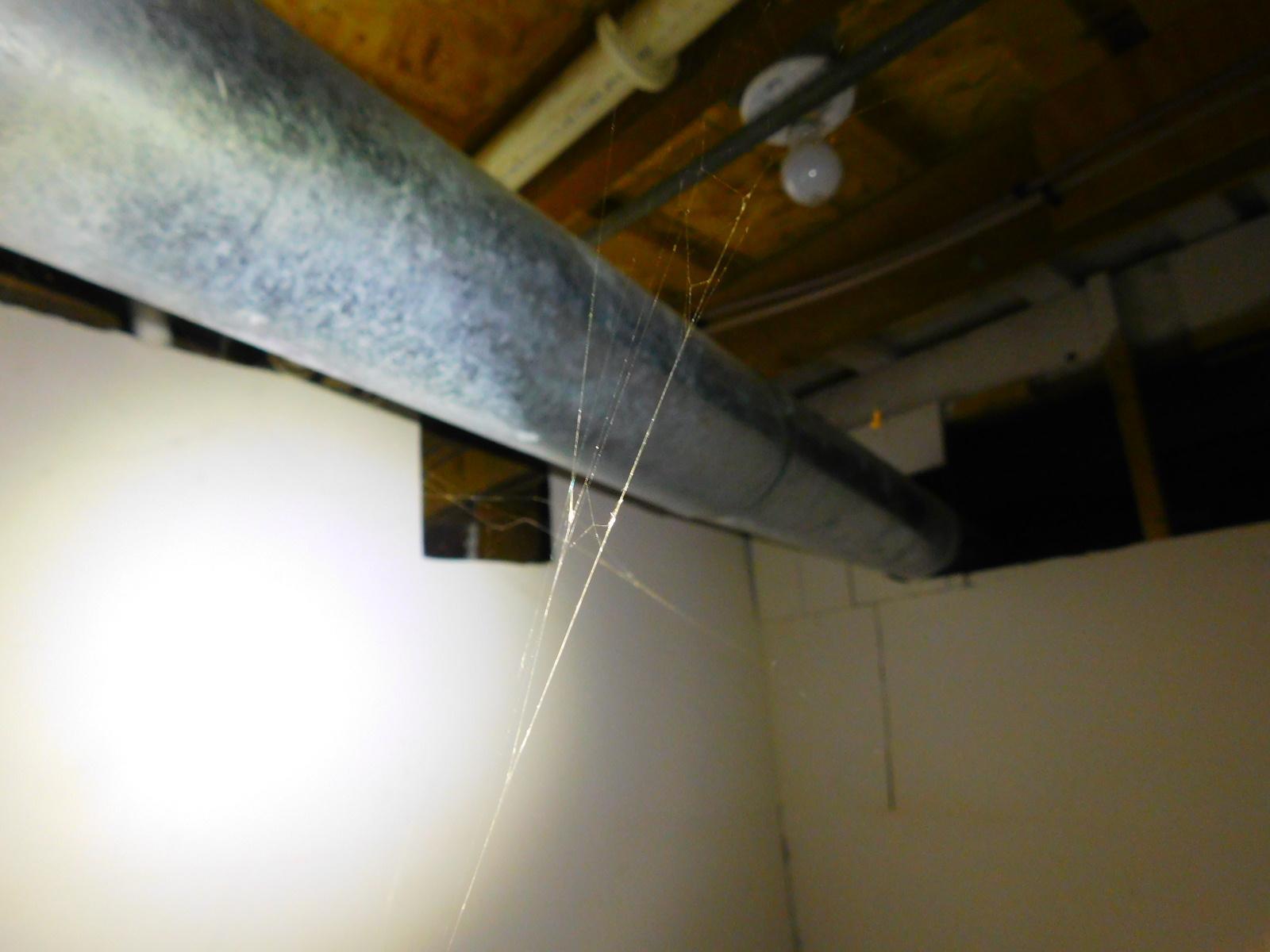 DSCN4529.JPG