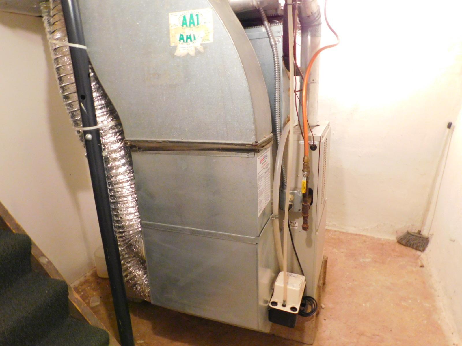 DSCN4522.JPG
