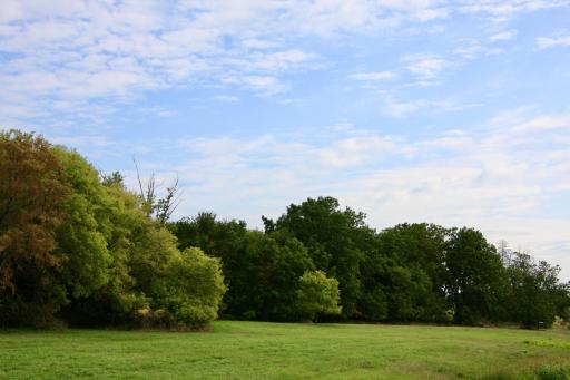 IMG_5247.jpeg