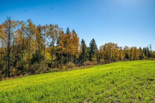 24058 County 2, Shevlin, MN 56676