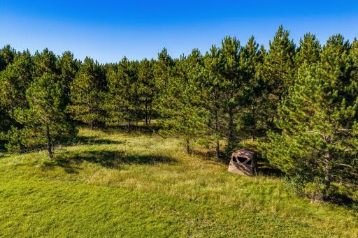 24058 County 2, Shevlin, MN 56676