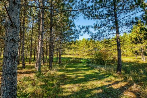 24058 County 2, Shevlin, MN 56676