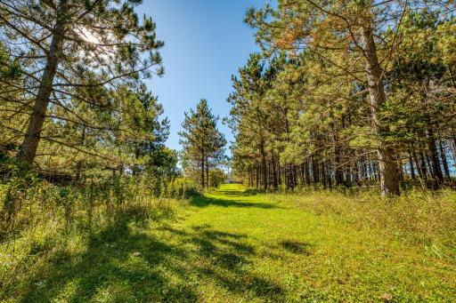 24058 County 2, Shevlin, MN 56676