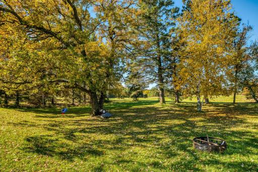 24058 County 2, Shevlin, MN 56676
