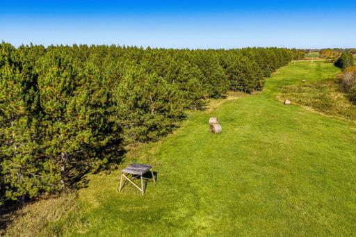 24058 County 2, Shevlin, MN 56676