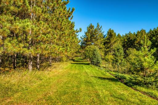 24058 County 2, Shevlin, MN 56676