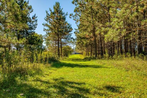 24058 County 2, Shevlin, MN 56676