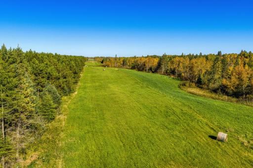 24058 County 2, Shevlin, MN 56676