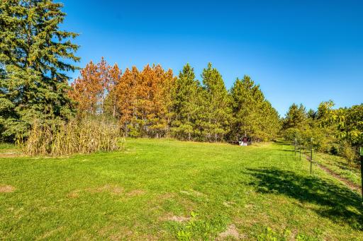 24058 County 2, Shevlin, MN 56676