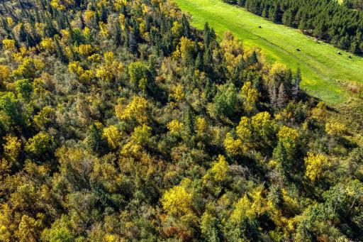 24058 County 2, Shevlin, MN 56676