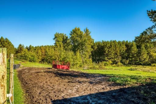 24058 County 2, Shevlin, MN 56676