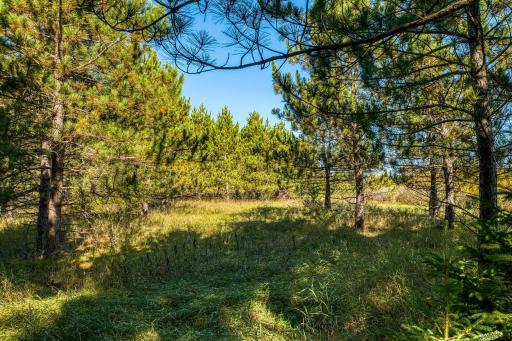 24058 County 2, Shevlin, MN 56676