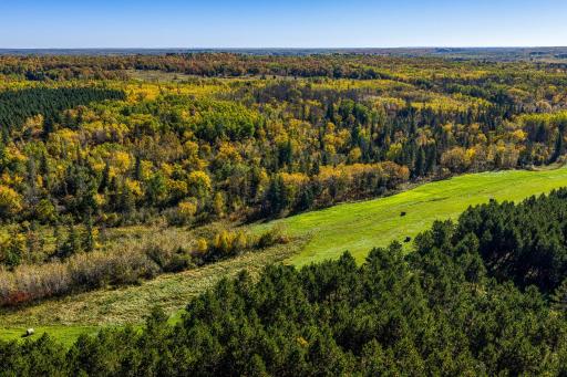 24058 County 2, Shevlin, MN 56676