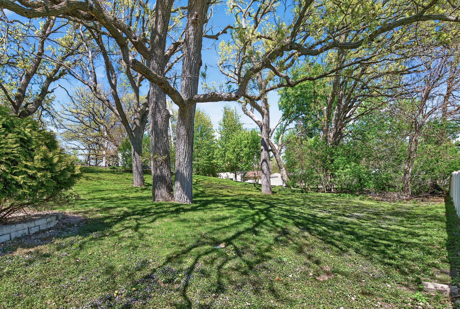 Picturesque back yard