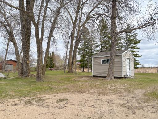 353XX Big Mcdonald Lane, Dent, MN 56528