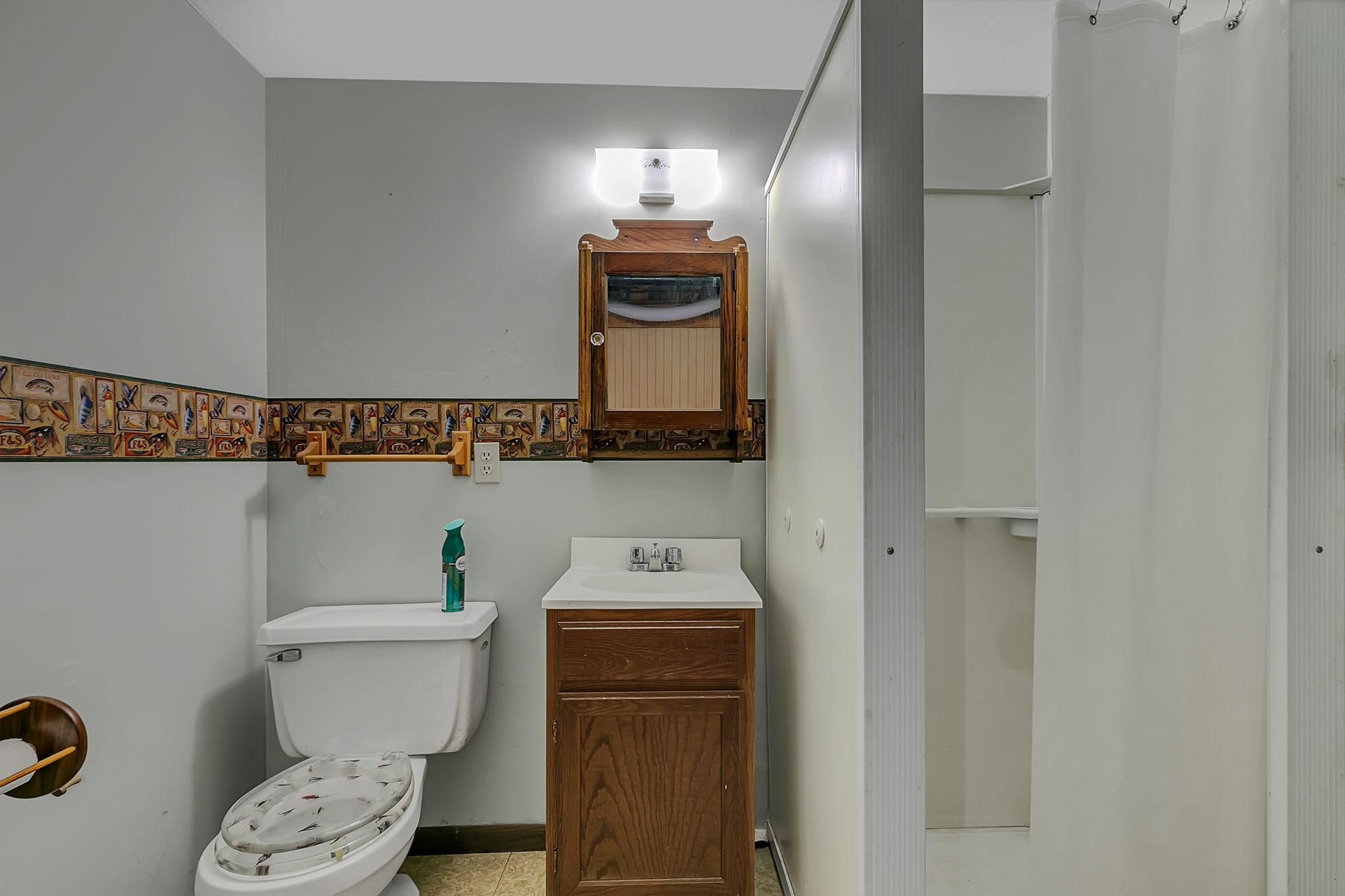 Lower Level Bath!