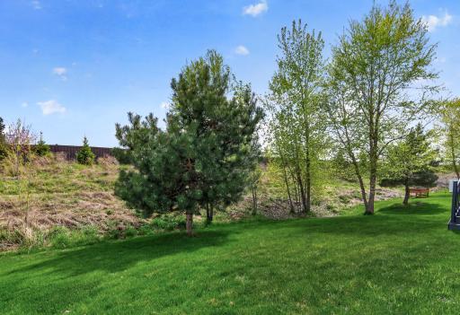 11161 3rd Street N, Lake Elmo, MN 55042