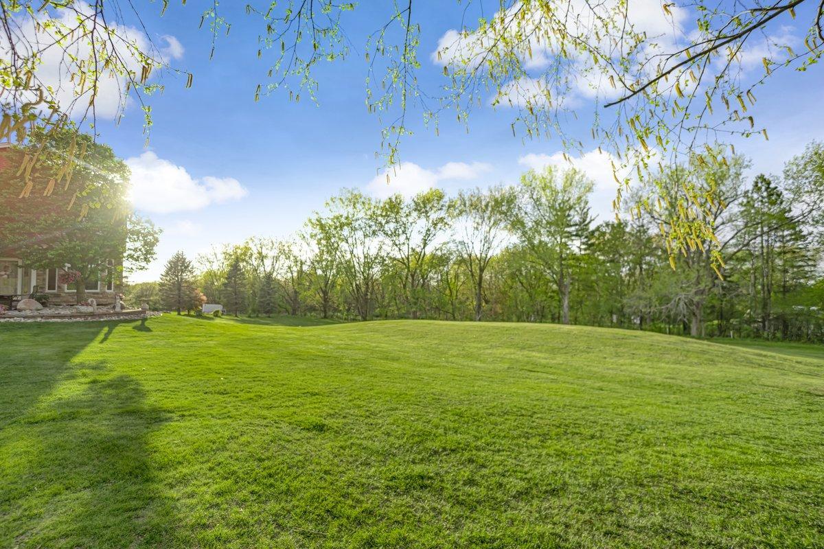 YARD 2.jpg