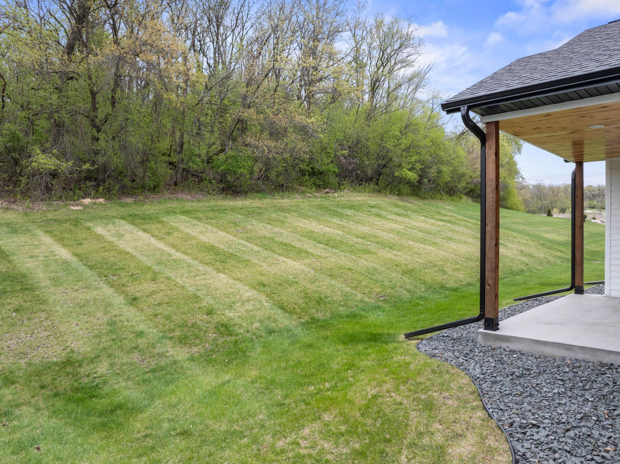 Back yard / woods