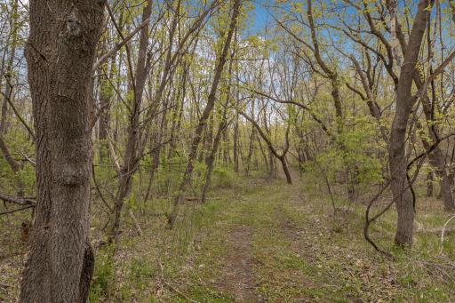 1850 Beauty Point Road SW, Farwell, MN 56327
