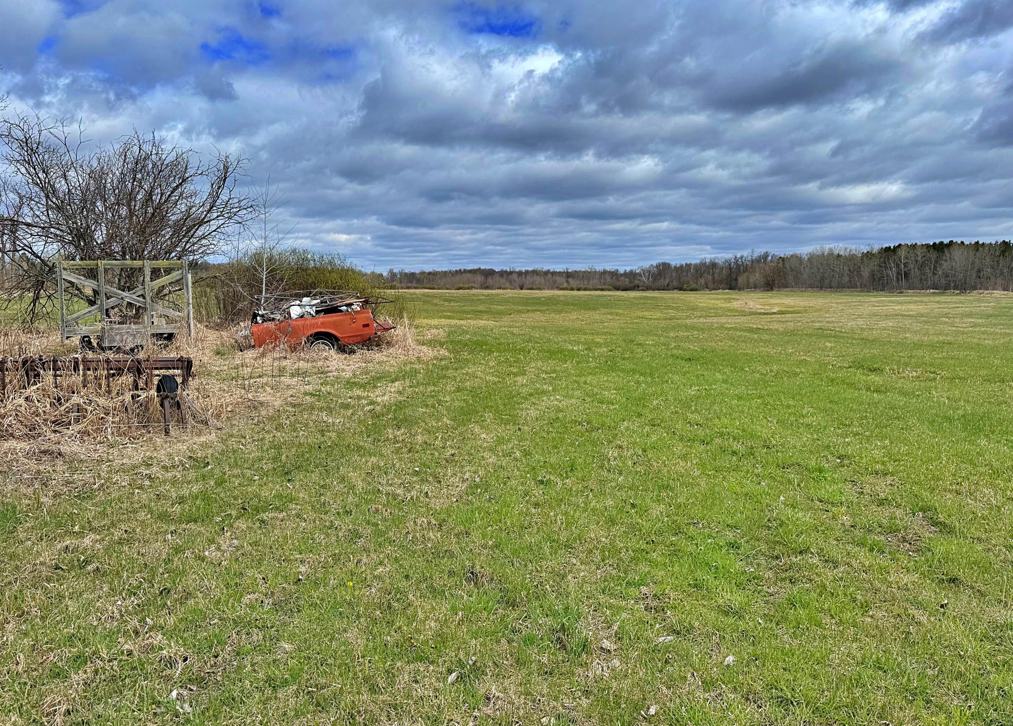 Junk alongside acreage.jpg
