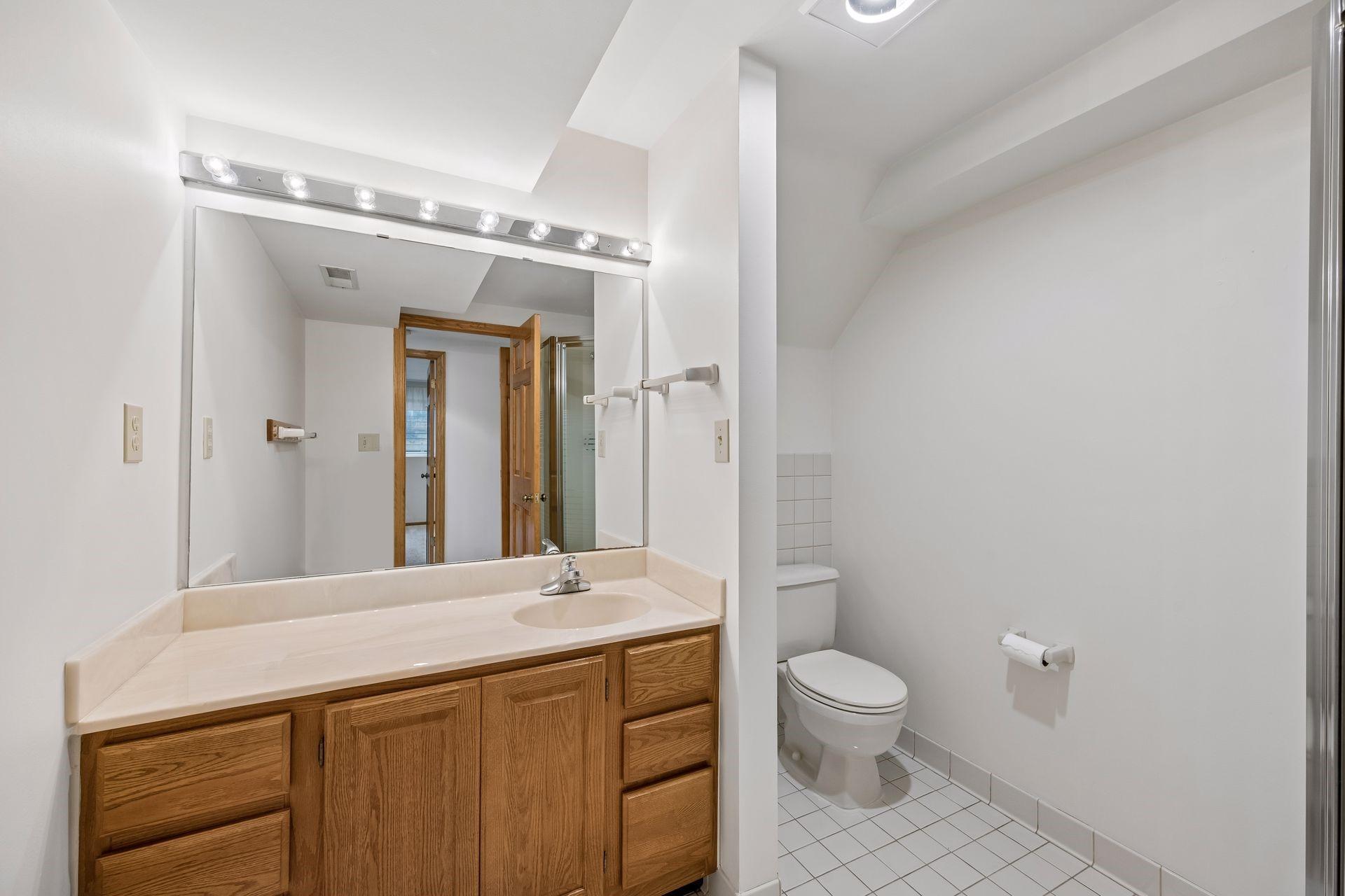 Bathroom Lower Level