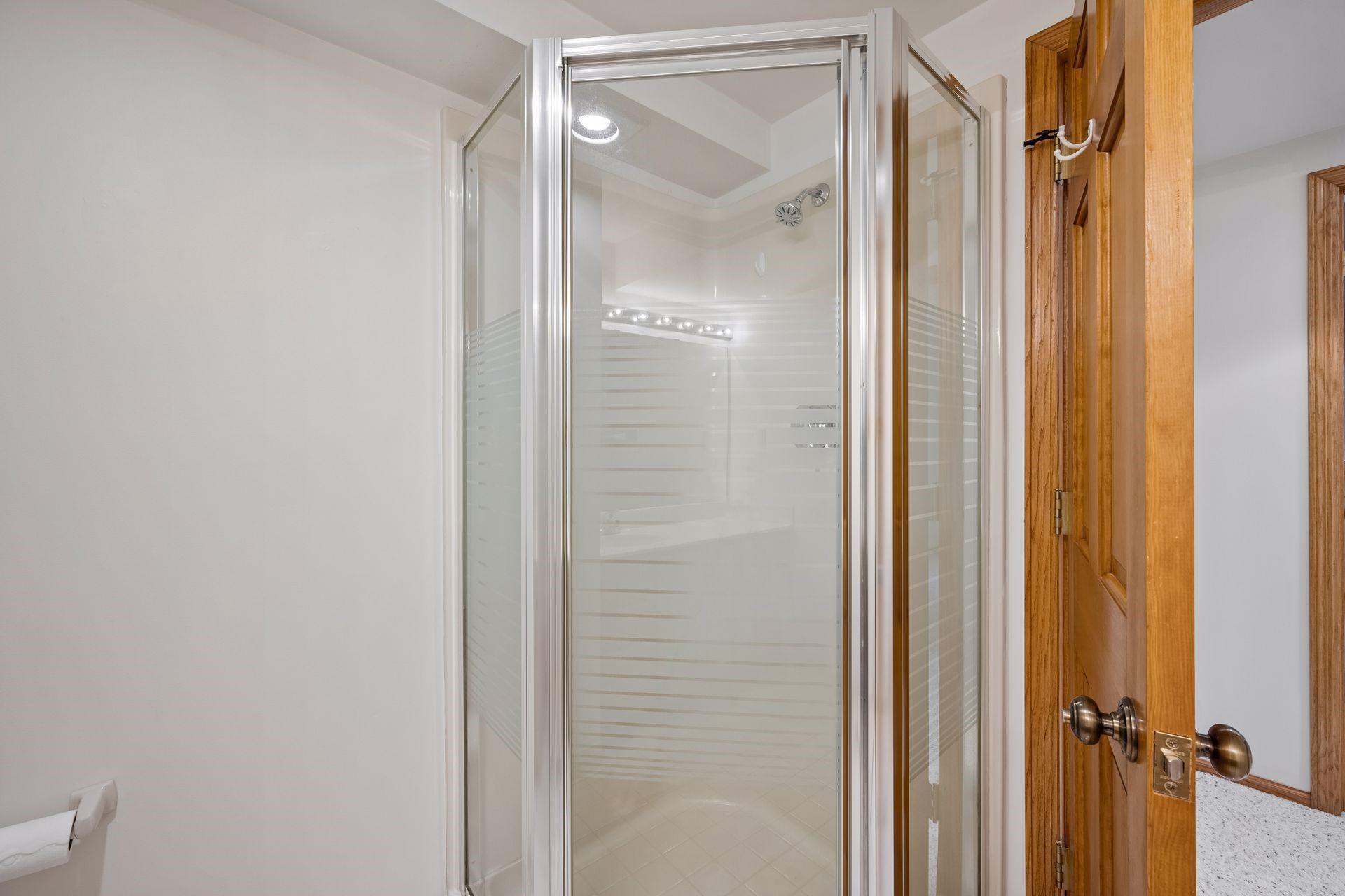 Bathroom Lower Level