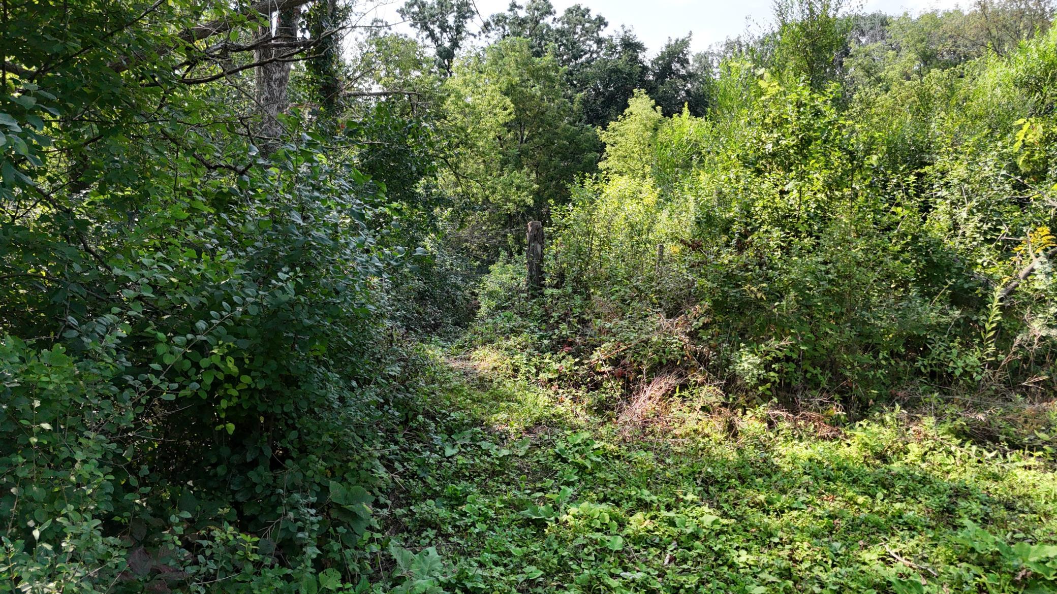 Buildable sites along the river 2421 East River Rd NE Rochester MN 55906