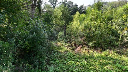 Buildable sites along the river 2421 East River Rd NE Rochester MN 55906