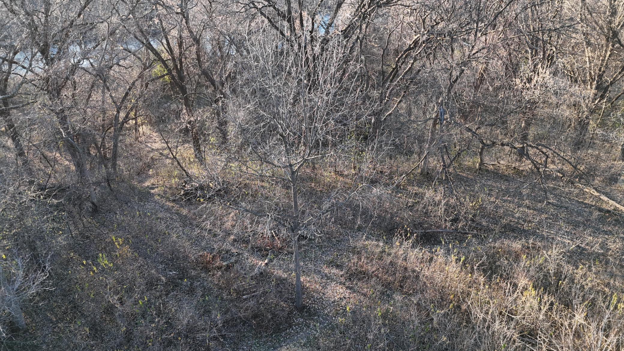 Buildable sites along the river 2421 East River Rd NE Rochester MN 55906