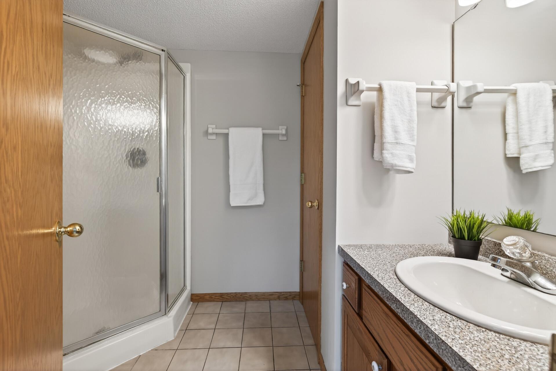 Lower level 3/4 bathroom