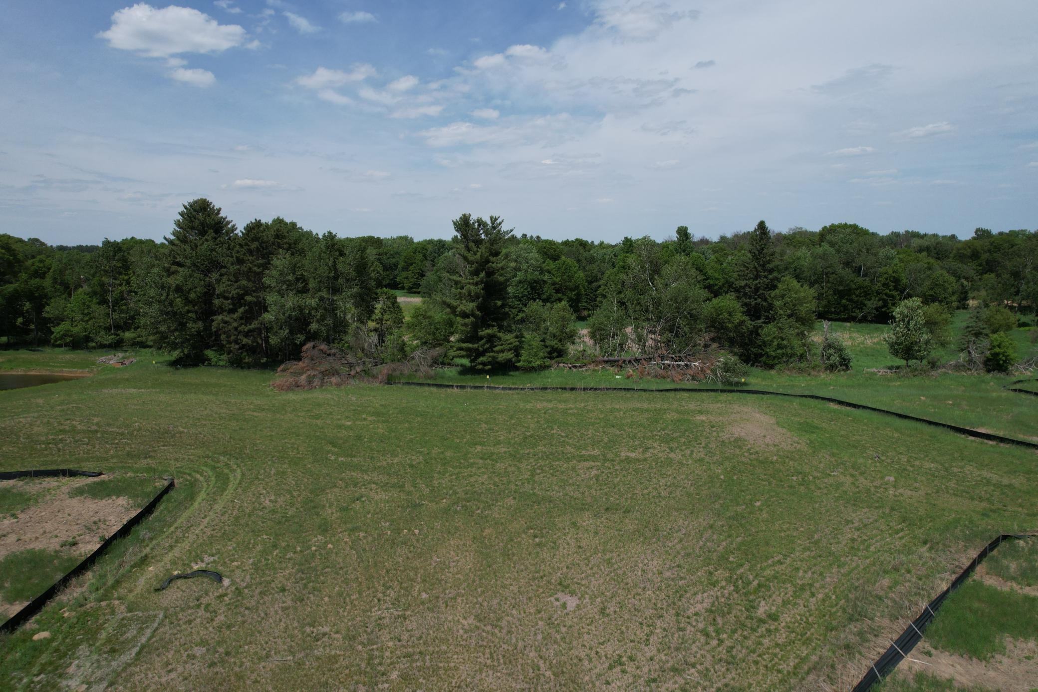 Premium Walkout lot, backs up to wooded area