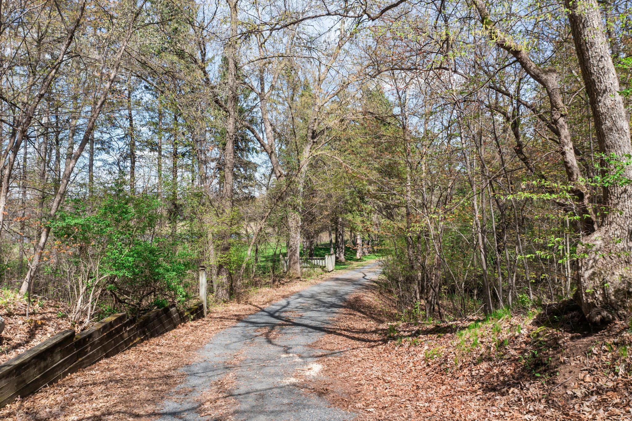 6-web-or-mls-1711 W Church Rd-4.jpg