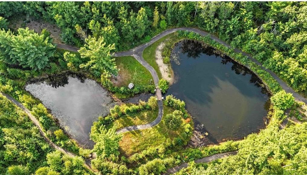 Aerial of Path & Common Greenspace