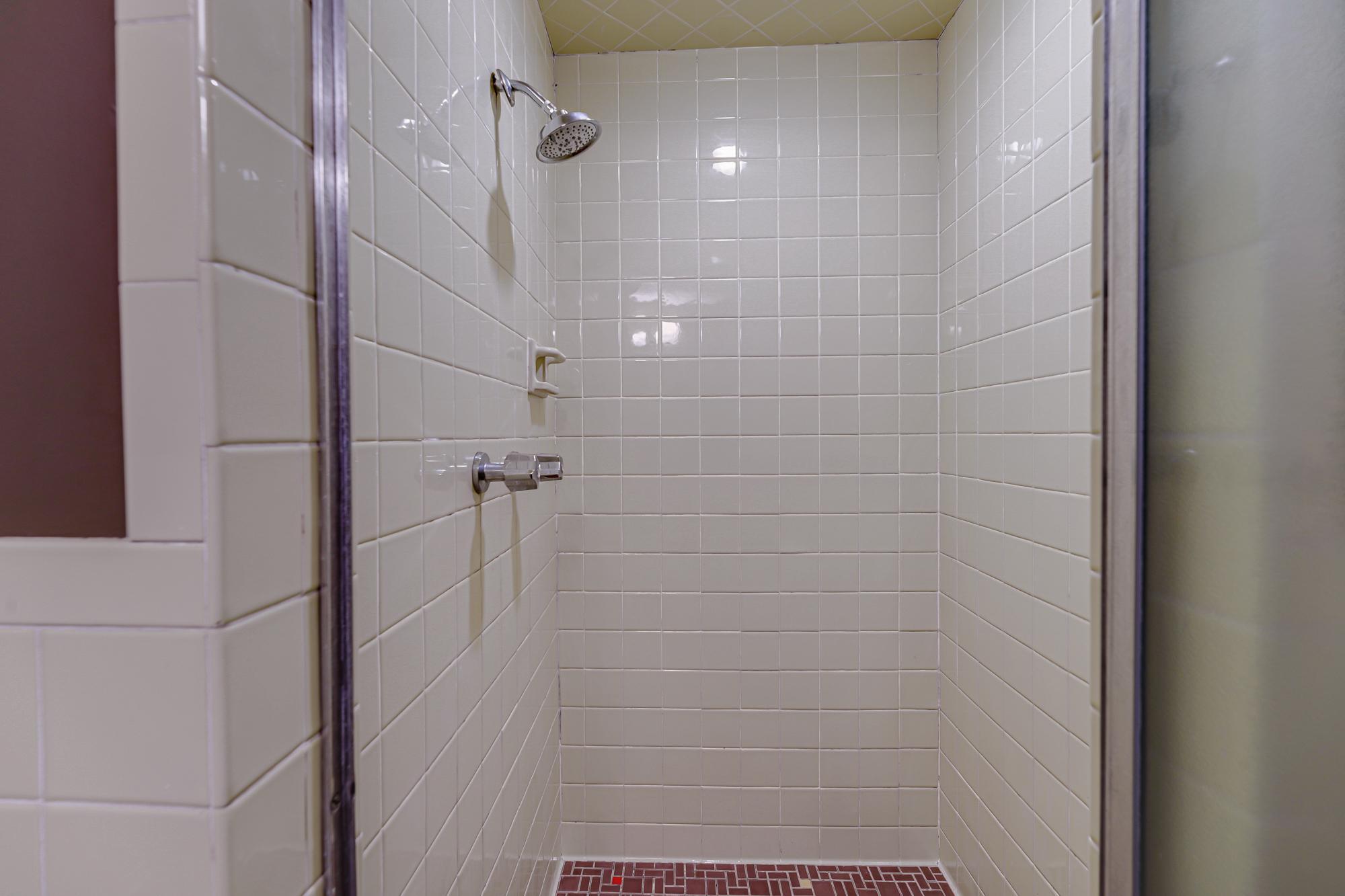 Bathroom-Lower-Level (1).jpg