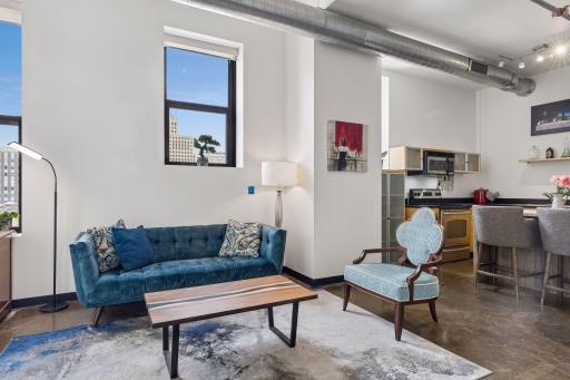 350 Saint Peter Street, 1012, Saint Paul, MN 55102
