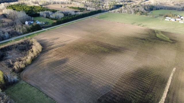 40 Acres of crop land