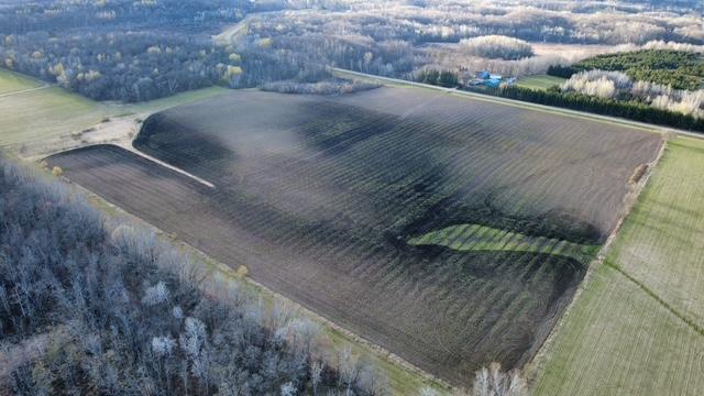 37 acres of the 40 is tilleable.