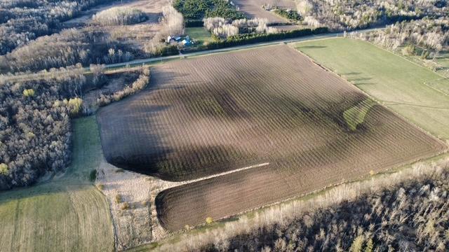 dji_fly_20260505_192844_662_1778028292450_photo_optimized.JPG