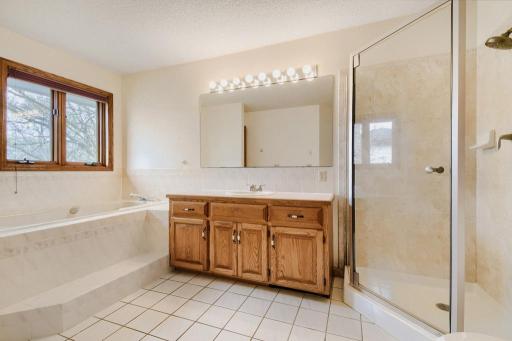 1294 138th Lane NW - MLS Sized - 029 - 21 Primary Bathroom.jpg