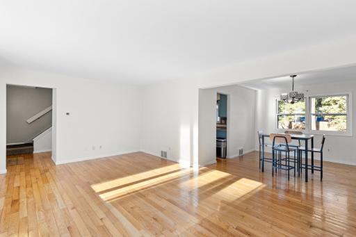 2904 Silver Lake Court NE, Minneapolis, MN 55421