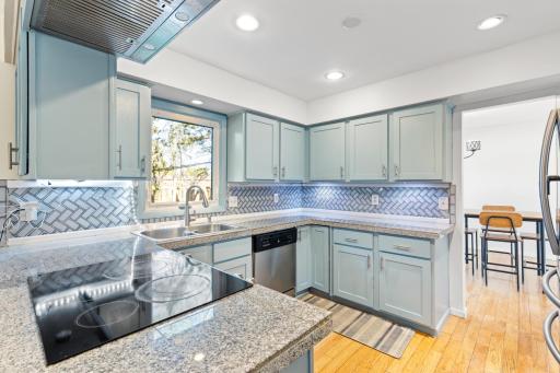 2904 Silver Lake Court NE, Minneapolis, MN 55421