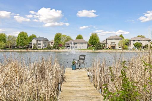 Private dock for swimming, fishing, or just some late night star gazing