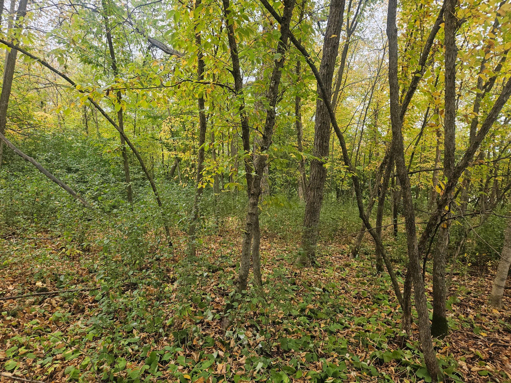 20250930_102428.jpg