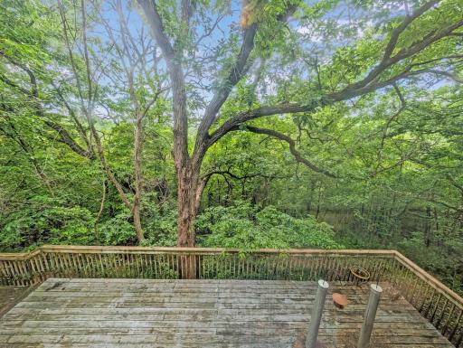 16220 Hayes Avenue, Carver, MN 55315