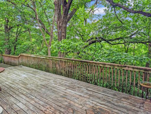 Open up the trees for vista views all the way out to the Minnesota River Valley.